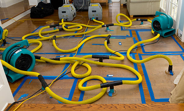 Professional Structural Drying And Dehumidification technician working in Monmouth Beach, NJ